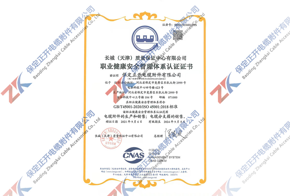 職業(yè)健康安全管理體系認(rèn)證證書